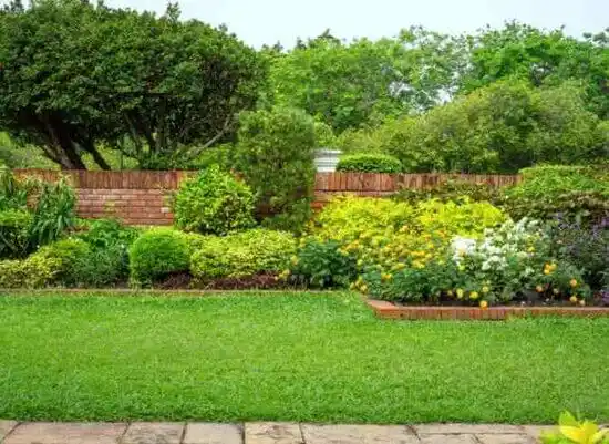 landscaping services Olive Hill